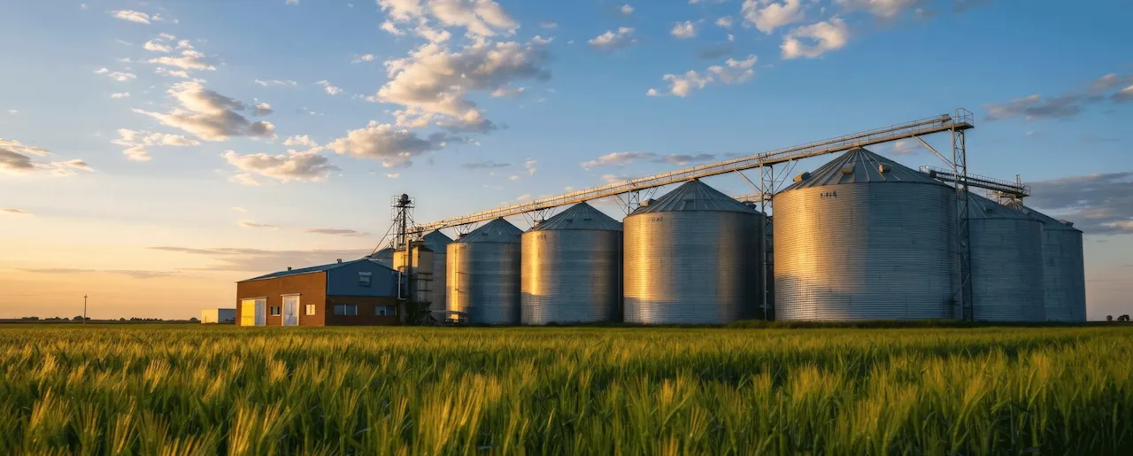 Grain silos, export ready
