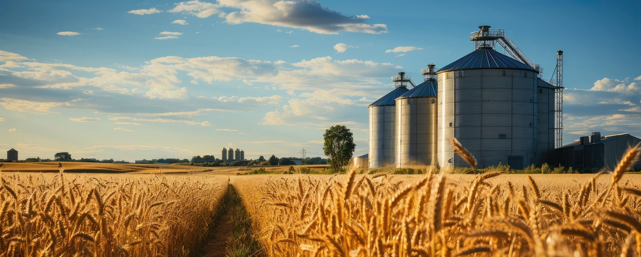 White truck transporting grain for export to SADC countries